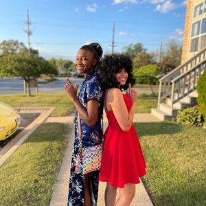 Cheongsam(asian style dress)